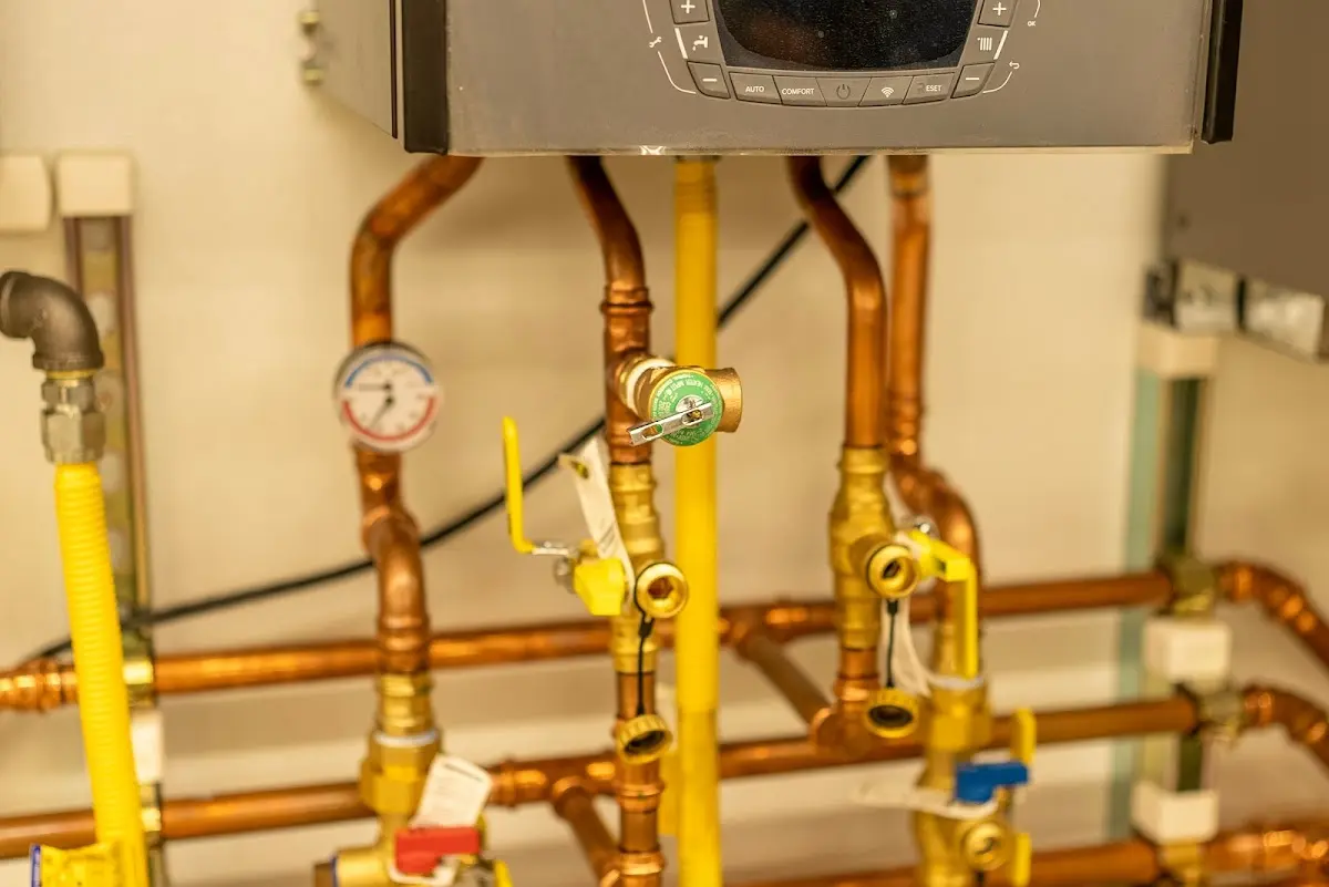 Licensed technician providing Emergency Plumbing for a homeowner in Eastman